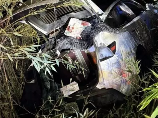 ਟੇਸਲਾ ਨੂੰ ਅੱਗ ਲਗਾਉਣ ਦੀ ਕੋਸ਼ਿਸ਼ ਕਰਨ ਵਾਲਾ ਭਾਰਤੀ ਕਰੋੜਪਤੀ ਗ੍ਰਿਫ਼ਤਾਰ