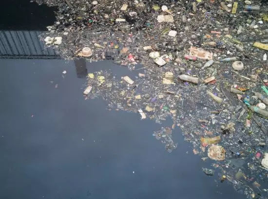 ਪੰਜਾਬ ਦੇ ਪਾਣੀ ਵਿੱਚ ਯੂਰੇਨੀਅਮ ਅਤੇ ਆਰਸੈਨਿਕ ਦਾ ਖ਼ਤਰਾ ਸਭ ਤੋਂ ਵੱਧ: ਕੇਂਦਰੀ ਰਿਪੋਰਟ ਪੰਜਾਬ ਦੇ ਪਾਣੀ ਵਿੱਚ ਯੂਰੇਨੀਅਮ ਅਤੇ ਆਰਸੈਨਿਕ ਦਾ ਖ਼ਤਰਾ ਸਭ ਤੋਂ ਵੱਧ: ਕੇਂਦਰੀ ਰਿਪੋਰਟ