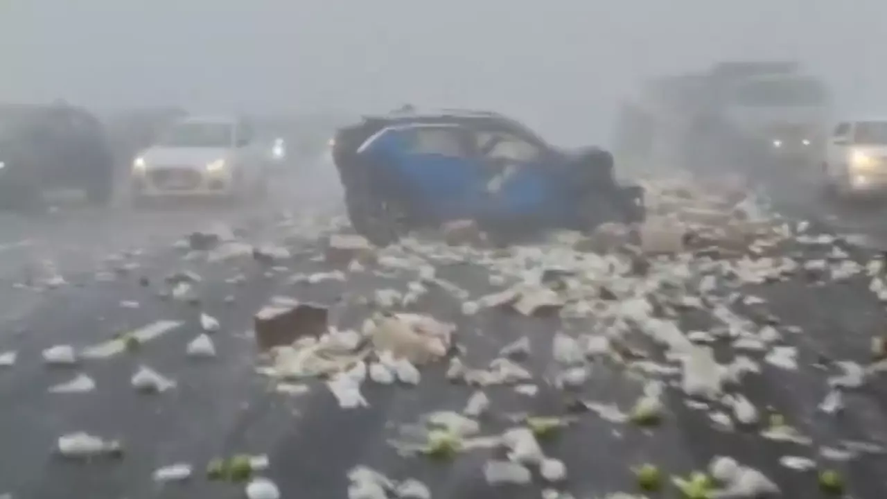 Accident: ਸੰਘਣੀ ਧੁੰਦ ਨੇ ਲਈਆਂ 24 ਜਾਨਾਂ, ਕਈ ਲੋਕ ਜ਼ਖ਼ਮੀ Accident: ਸੰਘਣੀ ਧੁੰਦ ਨੇ ਲਈਆਂ 24 ਜਾਨਾਂ, ਕਈ ਲੋਕ ਜ਼ਖ਼ਮੀ