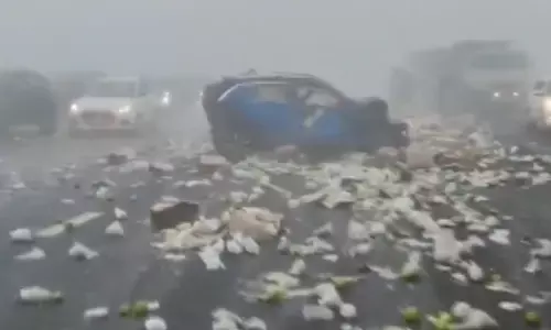 Accident: ਸੰਘਣੀ ਧੁੰਦ ਨੇ ਲਈਆਂ 24 ਜਾਨਾਂ, ਕਈ ਲੋਕ ਜ਼ਖ਼ਮੀ