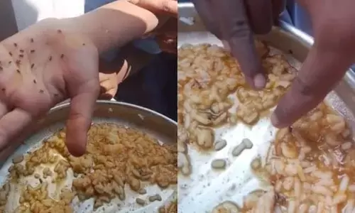 Mid Day Meal: ਬੱਚਿਆਂ ਦੀ ਸਿਹਤ ਨਾਲ ਖਿਲਵਾੜ, ਮਿਡ ਡੇਅ ਮੀਲ ਦੇ ਖਾਣੇ ਵਿੱਚ ਨਿਕਲੇ ਹਜ਼ਾਰਾਂ ਕੀੜੇ
