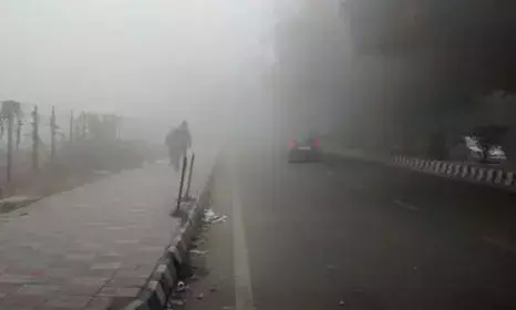 ਭਾਰਤ ਵਿੱਚ ਸੰਘਣੀ ਧੁੰਦ ਤੇ ਸਮੌਗ ਦਾ ਕਹਿਰ, ਵਿਜ਼ੀਬਿਲਟੀ ਲਗਭਗ ਜ਼ੀਰੋ