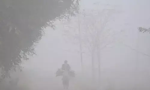 Punjab News: ਪੰਜਾਬ ਵਿੱਚ ਹੱਡ ਕੰਬਾਊ ਠੰਡ, ਅੱਜ ਪੈ ਸਕਦਾ ਹੈ ਹਲਕਾ ਮੀਂਹ