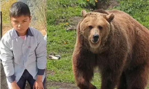 ਮੌਤ ਦੇ ਮੂੰਹ ਚੋਂ ਪਰਤਿਆ 11 ਸਾਲਾ ਮਾਸੂਮ: ਦਰਵਾਜ਼ਾ ਤੋੜ ਬੱਚੇ ਨੂੰ ਚੁੱਕ ਕੇ ਭੱਜਿਆ ਭਾਲੂ