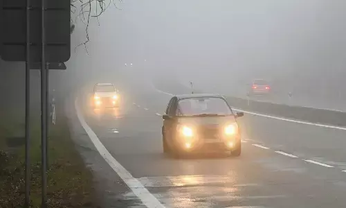 Dense Fog: ਸੰਘਣੀ ਧੁੰਦ ਵਿੱਚ ਗੱਡੀ ਚਲਾਉਣ ਲੱਗੇ ਪੀਲੀ ਜਾਂ ਸਫੇਦ ਲਾਈਟ? ਕਿਹੜੀ ਹੁੰਦੀ ਮਦਦਗਾਰ