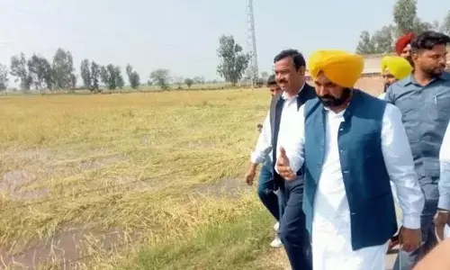 Punjab News: ਪੰਜਾਬ ਸਰਕਾਰ ਨੇ ਦੱਸਿਆ 2025 ਨੂੰ ਕਿਸਾਨਾਂ ਦੀ ਖੁਸ਼ਹਾਲੀ ਦਾ ਸਾਲ, ਖੇਤਾਂ ਵਿੱਚ ਦਿਸੇ ਇਹ ਖ਼ਾਸ ਬਦਲਾਅ