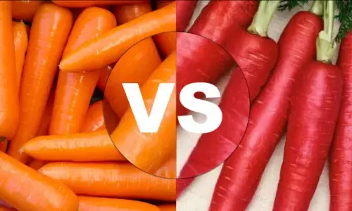 Health News: ਲਾਲ ਜਾਂ ਸੰਤਰੀ, ਕਿਹੜੇ ਰੰਗ ਦੀ ਗਾਜਰ ਖਾਣਾ ਸਿਹਤ ਲਈ ਲਾਭਕਾਰੀ, ਜਾਣੋ