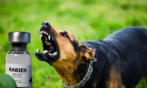 Rabies will no longer be a deadly disease!! ਸਰਕਾਰ ਨੇ ਚੁੱਕਿਆ ਵੱਡਾ ਕਦਮ
