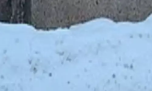 UK ’ਚ ਬਰਫ਼ਬਾਰੀ ਦਾ ਕਹਿਰ, ਸੈਂਕੜੇ Flights ਰੱਦ