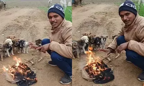 Punjab Weather: ਹਾਲੇ ਕਈ ਦਿਨ ਪੰਜਾਬ ਦਾ ਖਹਿੜਾ ਨਹੀਂ ਛੱਡੇਗੀ ਠੰਡ, ਇਨਸਾਨ ਛੱਡੋ ਜਾਨਵਰਾਂ ਦਾ ਵੀ ਬੁਰਾ ਹਾਲ