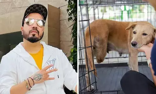 Mika Singh: ਗਾਇਕ ਮੀਕਾ ਸਿੰਘ ਨੇ ਦਿਖਾਇਆ ਵੱਡਾ ਦਿਲ, ਕੁੱਤਿਆਂ ਦੇ ਸ਼ੈਲਟਰ ਬਣਾਉਣ ਲਈ 10 ਏਕੜ ਜ਼ਮੀਨ ਦਾਨ ਕਰਨ ਲਈ ਤਿਆਰ