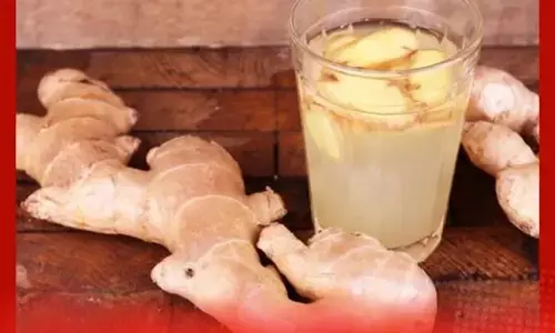 Ginger Water for Weight Loss: ਅਦਰਕ ਦਾ ਪਾਣੀ ਤੇਜ਼ੀ ਨਾਲ ਘਟਾਏਗਾ ਭਾਰ; ਜਾਣੋ ਪੀਣ ਦਾ ਸਹੀ ਤਰੀਕਾ ਅਤੇ ਦਿਨ