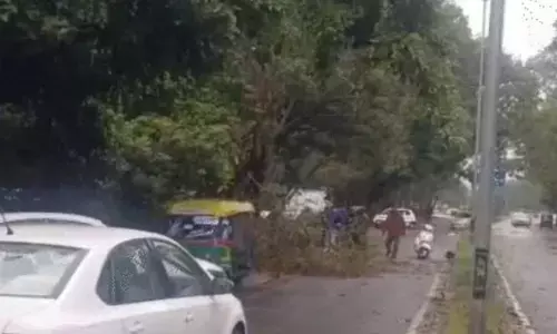 Punjab-Chandigarh ਚ ਮੌਸਮ ਵਿਗੜਿਆ, ਕਈ ਥਾਈਂ ਰੁੱਖ ਡਿੱਗੇ, ਔਲੇ ਵੀ ਪੈ ਰਹੇ