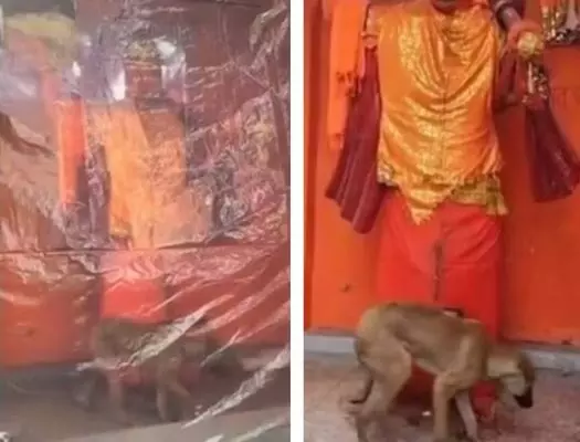 Hanuman ਦੀ ਮੂਰਤੀ ਦੇ ਚੱਕਰ ਲਾਉਣ ਵਾਲੇ ਕੁੱਤੇ ਦਾ ਸੱਚ ਆਇਆ ਸਾਹਮਣੇ Hanuman ਦੀ ਮੂਰਤੀ ਦੇ ਚੱਕਰ ਲਾਉਣ ਵਾਲੇ ਕੁੱਤੇ ਦਾ ਸੱਚ ਆਇਆ ਸਾਹਮਣੇ