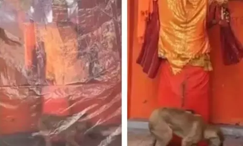 Hanuman ਦੀ ਮੂਰਤੀ ਦੇ ਚੱਕਰ ਲਾਉਣ ਵਾਲੇ ਕੁੱਤੇ ਦਾ ਸੱਚ ਆਇਆ ਸਾਹਮਣੇ