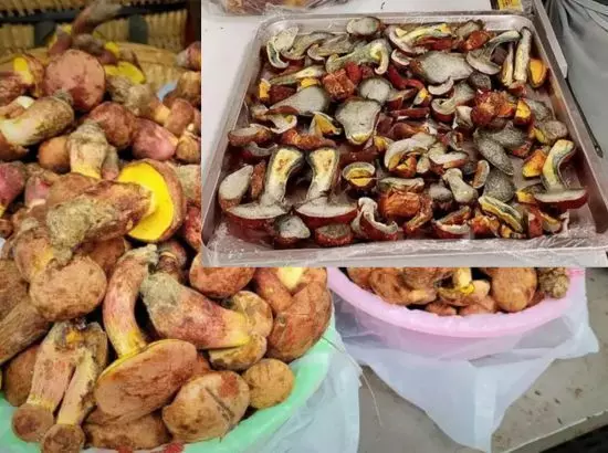 ਭੁਲ ਕੇ ਵੀ ਕਦੇ ਨਾ ਖਾਇਓ ਇਹ mushroom ਦੀ ਸਬਜ਼ੀ ਭੁਲ ਕੇ ਵੀ ਕਦੇ ਨਾ ਖਾਇਓ ਇਹ mushroom ਦੀ ਸਬਜ਼ੀ