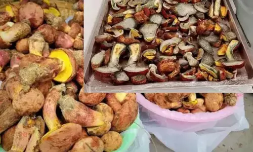 ਭੁਲ ਕੇ ਵੀ ਕਦੇ ਨਾ ਖਾਇਓ ਇਹ mushroom ਦੀ ਸਬਜ਼ੀ
