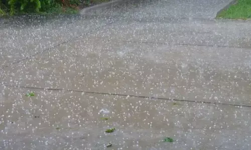 ਮੀਂਹ ਅਤੇ ਗੜੇਮਾਰੀ ਕਾਰਨ ਕੰਬਿਆ ਪੰਜਾਬ