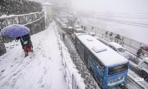 Weather News: ਉੱਤਰ ਭਾਰਤ ਚ ਠੰਡ ਦਾ ਕਹਿਰ, ਪਹਾੜਾਂ ਤੇ ਬਰਫ਼ ਤੇ ਮੈਦਾਨੀ ਇਲਾਕਿਆਂ ਤੇ ਮੀਂਹ ਨੇ ਕੀਤਾ ਪ੍ਰੇਸ਼ਾਨ