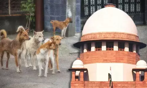 Street Dogs Case: ਅਵਾਰਾ ਕੁੱਤਿਆਂ ਦੇ ਮੁੱਦੇ ਤੇ ਸੁਪਰੀਮ ਕੋਰਟ ਚ ਸੁਣਵਾਈ, ਜੱਜਾਂ ਨੇ ਸੂਬਾ ਸਰਕਾਰਾਂ ਦੀ ਲਾਈ ਕਲਾਸ
