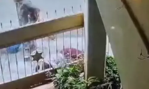 Fury of pet dog: ਸੈਰ ਤੇ ਨਿਕਲੀ ਔਰਤ ਤੇ ਜਾਨਲੇਵਾ ਹਮਲਾ; ਲੱਗੇ 50 ਤੋਂ ਵੱਧ ਟਾਂਕੇ