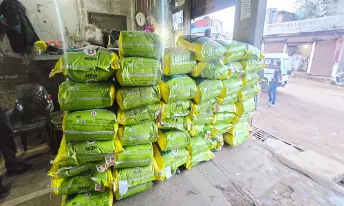 ਕਿਤੇ ਤੁਸੀਂ ਤਾਂ ਨਹੀਂ ਖਾ ਰਹੇ ਨਕਲੀ ਜ਼ੀਰਾ? ਫੜੀ ਗਈ ਨਕਲੀ ਜ਼ੀਰੇ ਦੀ ਖੇਪ, ਸੀਮਿੰਟ-ਕੈਮੀਕਲ ਨਾਲ ਬਣਾ ਕੇ ਵੇਚ ਰਹੇ ਸੀ