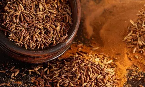 ਰਸਾਇਣਾਂ ਨਾਲ ਬਣਿਆ ਜ਼ਹਿਰੀਲਾ ਜੀਰਾ: ਗਵਾਲੀਅਰ ਚ 46 ਬੋਰੀਆਂ ਜ਼ਬਤ