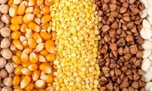 India-US trade agreement: ਖੇਤੀਬਾੜੀ ਅਤੇ ਡੇਅਰੀ ਖੇਤਰ ਲਈ ਸੁਰੱਖਿਆ ਕਵਚ, ਜਾਣੋ ਕਿਹੜੀਆਂ ਚੀਜ਼ਾਂ ਰਹਿਣਗੀਆਂ ਸੁਰੱਖਿਅਤ