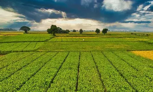 American agriculture: ਤੇ ਮੰਡਰਾ ਰਿਹਾ ਵੱਡਾ ਸੰਕਟ: ਕਿਸਾਨ ਆਗੂਆਂ ਨੇ ਦਿੱਤੀ ਪਤਨ ਦੀ ਚੇਤਾਵਨੀ