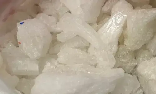 US-Canada ਦੇ ਬਾਰਡਰ ’ਤੇ ਪੰਜਾਬੀ truck driver ਗ੍ਰਿਫ਼ਤਾਰ