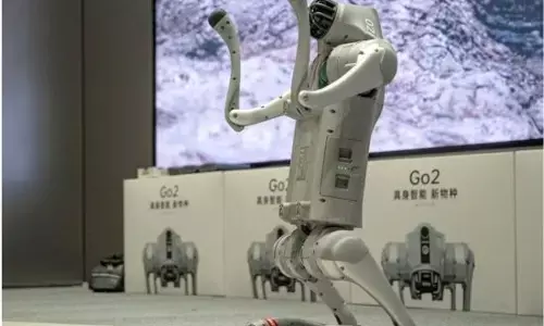 ਚੀਨੀ ਰੋਬੋਟ ਨੂੰ ਮੇਕ ਇਨ ਇੰਡੀਆ ਦੱਸਣ ਤੇ ਵਧਿਆ ਵਿਵਾਦ