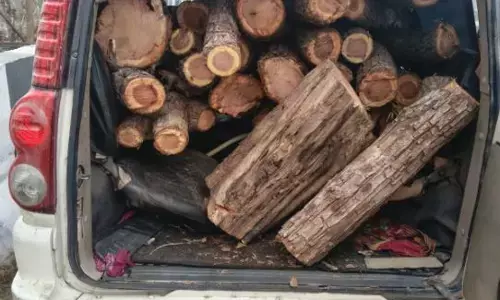 ਯੂਪੀ ਤੋਂ ਪੰਜਾਬ ਚ ਸਮੱਗਲ ਹੋ ਰਹੀ ਖੈਰ ਦੀ ਲੱਕੜ, ਰਾਜਪੁਰਾ ਤੋਂ ਬਰਾਮਦ ਹੋਈ 50 ਲੱਖ ਦੀ ਲੱਕੜ