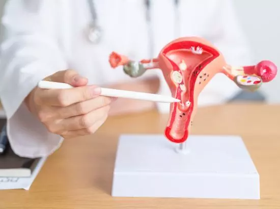 ਓਵਰੀਅਨ ਕੈਂਸਰ (Ovarian Cancer): ਔਰਤਾਂ ਇਨ੍ਹਾਂ 5 ਲੱਛਣਾਂ ਨੂੰ ਕਦੇ ਨਾ ਕਰਨ ਨਜ਼ਰਅੰਦਾਜ਼ ਓਵਰੀਅਨ ਕੈਂਸਰ (Ovarian Cancer): ਔਰਤਾਂ ਇਨ੍ਹਾਂ 5 ਲੱਛਣਾਂ ਨੂੰ ਕਦੇ ਨਾ ਕਰਨ ਨਜ਼ਰਅੰਦਾਜ਼