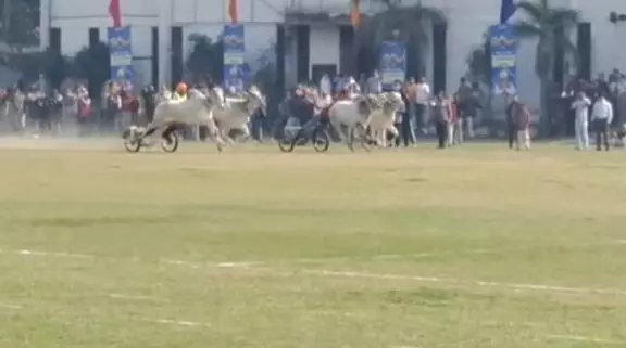 ਪੇਂਡੂ ਉਲੰਪਿਕਸ ਚ ਦਿਸਿਆ ਲੋਕਾਂ ਦਾ ਅਥਾਹ ਜੋਸ਼, 12 ਸਾਲਾਂ ਪਿੱਛੋਂ ਬੈਲ–ਗੱਡੀਆਂ ਦੀ ਦੌੜ ਹੋਈ ਬਹਾਲ ਪੇਂਡੂ ਉਲੰਪਿਕਸ ਚ ਦਿਸਿਆ ਲੋਕਾਂ ਦਾ ਅਥਾਹ ਜੋਸ਼, 12 ਸਾਲਾਂ ਪਿੱਛੋਂ ਬੈਲ–ਗੱਡੀਆਂ ਦੀ ਦੌੜ ਹੋਈ ਬਹਾਲ