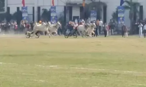 ਪੇਂਡੂ ਉਲੰਪਿਕਸ ਚ ਦਿਸਿਆ ਲੋਕਾਂ ਦਾ ਅਥਾਹ ਜੋਸ਼, 12 ਸਾਲਾਂ ਪਿੱਛੋਂ ਬੈਲ–ਗੱਡੀਆਂ ਦੀ ਦੌੜ ਹੋਈ ਬਹਾਲ