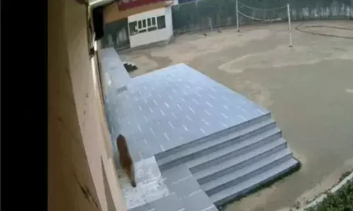 School  ਚ ਤੇਂਦੂਏ ਦੀ ਦਸਤਕ ਨਾਲ ਫੈਲੀ ਦਹਿਸ਼ਤ (Video)