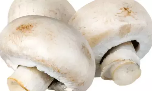 Health treasure: ਮਸ਼ਰੂਮ ਖਾਣ ਦੇ ਉਹ 5 ਵੱਡੇ ਫ਼ਾਇਦੇ ਜੋ ਤੁਹਾਡੀ ਜੀਵਨ ਸ਼ੈਲੀ ਬਦਲ ਸਕਦੇ ਹਨ Health treasure: ਮਸ਼ਰੂਮ ਖਾਣ ਦੇ ਉਹ 5 ਵੱਡੇ ਫ਼ਾਇਦੇ ਜੋ ਤੁਹਾਡੀ ਜੀਵਨ ਸ਼ੈਲੀ ਬਦਲ ਸਕਦੇ ਹਨ