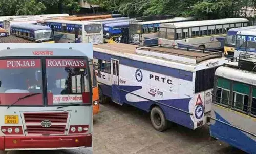 ਪਨਬੱਸ ਤੇ ਪੰਜਾਬ ਰੋਡਵੇਜ਼ ਦੇ ਮੁਲਾਜ਼ਮਾਂ ਨੂੰ ਵੱਡੀ ਰਾਹਤ, ਪੰਜਾਬ ਤੇ ਹਰਿਆਣਾ ਹਾਈ ਕੋਰਟ ਦਾ ਅਹਿਮ ਫ਼ੈਸਲਾ