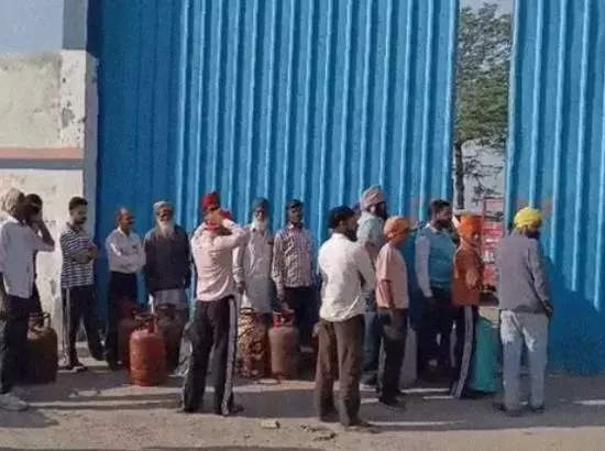 Punjab : ਗੈਸ ਸਿਲੰਡਰਾਂ ਲਈ ਸਵੇਰੇ 4 ਵਜੇ ਤੋਂ ਲੱਗ ਰਹੀਆਂ ਲੰਬੀਆਂ ਕਤਾਰਾਂ Punjab : ਗੈਸ ਸਿਲੰਡਰਾਂ ਲਈ ਸਵੇਰੇ 4 ਵਜੇ ਤੋਂ ਲੱਗ ਰਹੀਆਂ ਲੰਬੀਆਂ ਕਤਾਰਾਂ