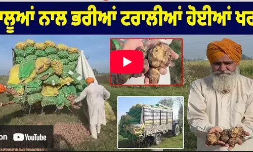 ਵਾਹ ਓ ਰੱਬਾ, ਉਜੜੇ Punjab ਦੇ ਕਿਸਾਨ, ਆਲੂਆਂ ਨਾਲ ਭਰੀਆਂ ਟਰਾਲੀਆਂ ਹੋਈਆਂ ਖਰਾਬ, ਖ਼ਾਸ ਰਿਪੋਰਟ... ਵਾਹ ਓ ਰੱਬਾ, ਉਜੜੇ Punjab ਦੇ ਕਿਸਾਨ, ਆਲੂਆਂ ਨਾਲ ਭਰੀਆਂ ਟਰਾਲੀਆਂ ਹੋਈਆਂ ਖਰਾਬ, ਖ਼ਾਸ ਰਿਪੋਰਟ...