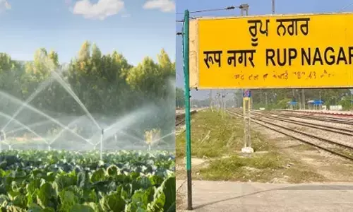 ਪੰਜਾਬ–ਹਰਿਆਣਾ ਹਾਈ ਕੋਰਟ ਦਾ ਸਰਕਾਰੀ ਵਿਭਾਗਾਂ ਦੇ ਹੱਕ ਚ ਵੱਡਾ ਫ਼ੈਸਲਾ, ਰੋਪੜ ਦੇ ਸਿੰਚਾਈ ਵਿਭਾਗ ਦੀਆਂ ਜ਼ਮੀਨਾਂ ਵੇਚਣ ਤੇ ਰੋਕ