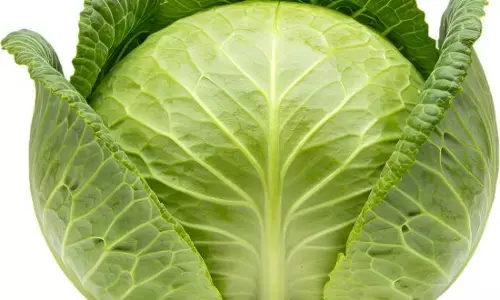 Health tips : ਗੋਡਿਆਂ ਦੇ ਦਰਦ ਤੋਂ ਮਿਲੇਗੀ ਰਾਹਤ: ਕੀ ਪੱਤਾ ਗੋਭੀ ਸੱਚਮੁੱਚ ਹੈ ਕਾਰਗਰ? ਜਾਣੋ ਵਰਤੋਂ ਦਾ ਸਹੀ ਤਰੀਕਾ Health tips : ਗੋਡਿਆਂ ਦੇ ਦਰਦ ਤੋਂ ਮਿਲੇਗੀ ਰਾਹਤ: ਕੀ ਪੱਤਾ ਗੋਭੀ ਸੱਚਮੁੱਚ ਹੈ ਕਾਰਗਰ? ਜਾਣੋ ਵਰਤੋਂ ਦਾ ਸਹੀ ਤਰੀਕਾ