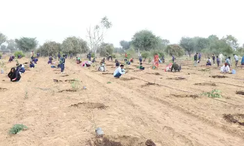 ਨੈਸ਼ਨਲ ਹਾਈਵੇਅ ਲਈ ਕੱਟੇ ਜਾਣਗੇ ਹਜ਼ਾਰਾਂ ਰੁੱਖ, ਪੰਜਾਬ–ਹਰਿਆਣਾ ਹਾਈ ਕੋਰਟ ਨੇ ਲਿਆ ਗੰਭੀਰ ਨੋਟਿਸ