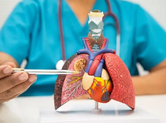Lung Cancer: ਕੀ ਖੰਘ ਹੈ ਪਹਿਲਾ ਸੰਕੇਤ? ਜਾਣੋ 7 ਸ਼ੁਰੂਆਤੀ ਲੱਛਣ ਜੋ ਬਣ ਸਕਦੇ ਹਨ ਜਾਨਲੇਵਾ Lung Cancer: ਕੀ ਖੰਘ ਹੈ ਪਹਿਲਾ ਸੰਕੇਤ? ਜਾਣੋ 7 ਸ਼ੁਰੂਆਤੀ ਲੱਛਣ ਜੋ ਬਣ ਸਕਦੇ ਹਨ ਜਾਨਲੇਵਾ