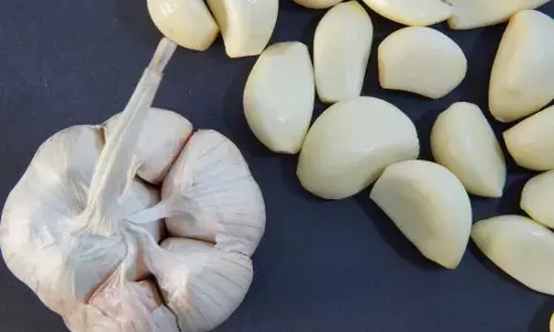 Health tips ਰੋਜ਼ਾਨਾ ਖਾਲੀ ਪੇਟ ਲਸਣ ਦੀ ਇੱਕ ਕਲੀ ਖਾਣ ਦੇ ਬੇਮਿਸਾਲ ਫਾਇਦੇ Health tips ਰੋਜ਼ਾਨਾ ਖਾਲੀ ਪੇਟ ਲਸਣ ਦੀ ਇੱਕ ਕਲੀ ਖਾਣ ਦੇ ਬੇਮਿਸਾਲ ਫਾਇਦੇ