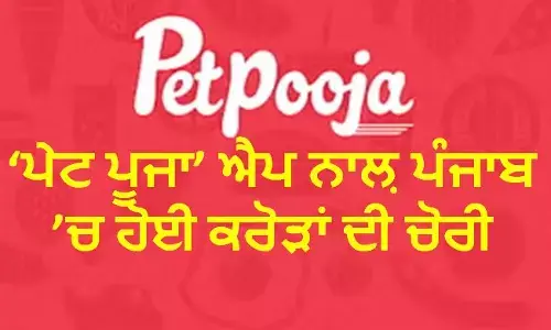 ਗੁਜਰਾਤ ਦੀ ਪੇਟ ਪੂਜਾ ਐਪ ਨੇ ਕੀਤੀ 500 GST ਚੋਰੀ, ਅੰਮ੍ਰਿਤਸਰ, ਜਲੰਧਰ ਤੇ ਲੁਧਿਆਣਾ ਚ ਐਪ ਰਾਹੀਂ ਹੋਈ ਚੋਰੀ