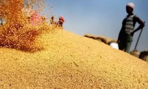 wheat ਦੀ ਸਰਕਾਰੀ ਖਰੀਦ ਸ਼ੁਰੂ ਹੋਣ ਤੋਂ ਇੱਕ ਦਿਨ ਪਹਿਲਾਂ  Punjab  ਭਰ ’ਚ ਆੜਤੀਆਂ ਵੱਲੋਂ ਹੜਤਾਲ ਸ਼ੁਰੂ