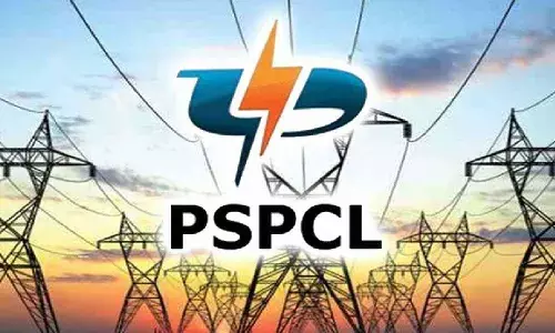 ਪਾਵਰਕਾਮ ਡਾਇਰੈਕਟਰ ਪਦ ਲਈ ਸਰਕਾਰ ਨੇ ਯੋਗਤਾ ਮਾਪਦੰਡਾਂ ਵਿੱਚ ਕੀਤਾ ਬਦਲਾਅ