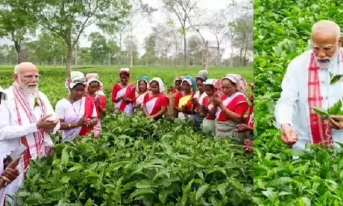 ਪ੍ਰਧਾਨ ਮੰਤਰੀ ਮੋਦੀ ਅਸਮ ਦੌਰੇ ’ਤੇ ਪੁੱਜੇ, ਚਾਹ ਦੇ ਬਾਗ ’ਚ ਔਰਤਾਂ ਨਾਲ ਕੀਤੀ ਚਰਚਾ