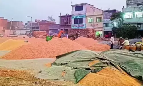 ਪੰਜਾਬ ਦੀਆਂ ਅਨਾਜ ਮੰਡੀਆਂ ਚ ਕਣਕ ਦੀ ਖ਼ਰੀਦ ਸ਼ੁਰੂ